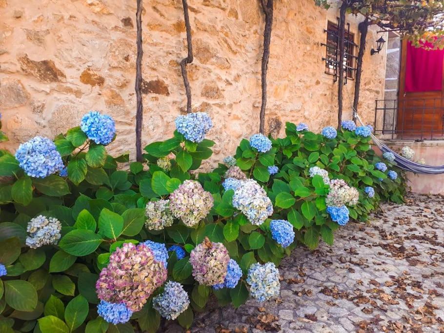 Quintinha De Santiago Villa Oliveira de Azeméis Esterno foto